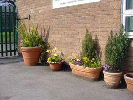 Tubs of plants